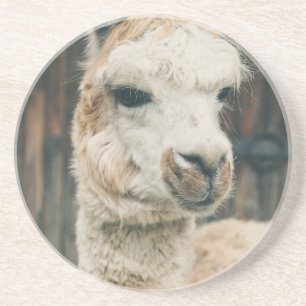 Llama Nah hoch Getränkeuntersetzer