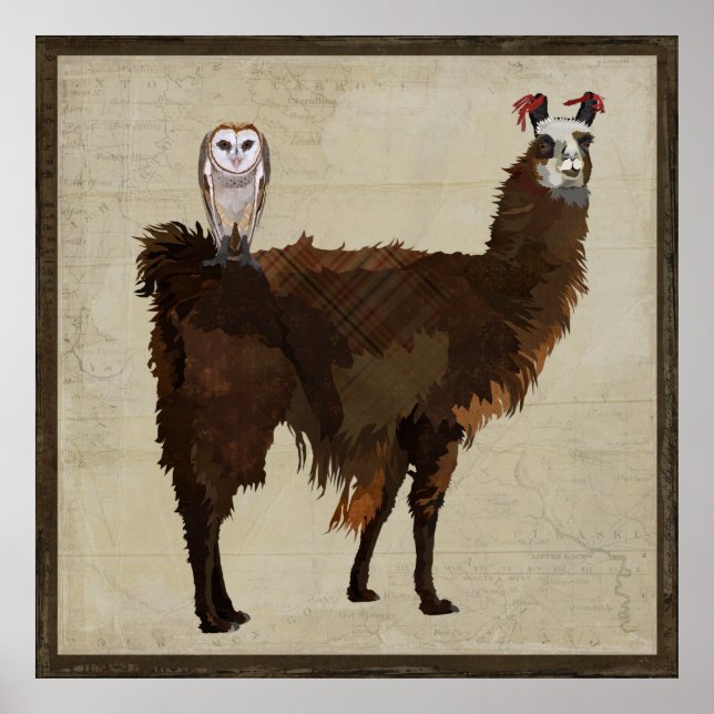 LLAMA & OWL Poster (Vorne)