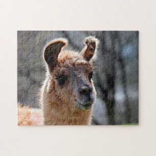 Llama Portrait, Puzzle