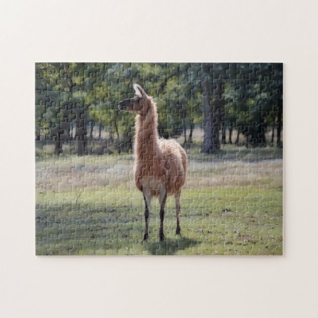 Llama Poser Animal Nature Puzzle (Horizontal)