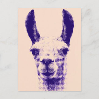 Llama Postcard Postkarte