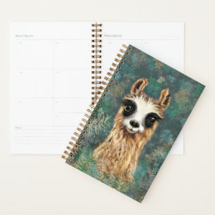 Llama pour bébé curieux - mignonne -
