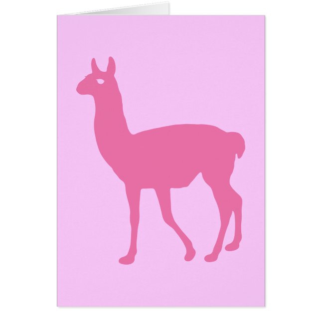 Llama rose (Devant)