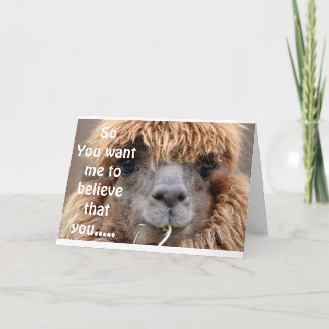 LLAMA SAGT KEINERLEI WEISE, DASS SIE *65* GEBURTST KARTE (Vorderseite)