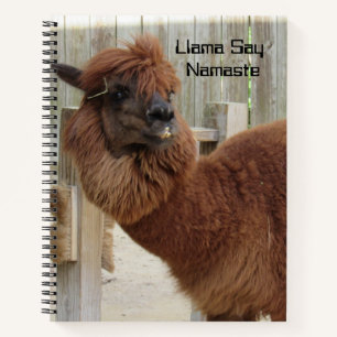 Llama Say Namaste Notebook - 2 Fotos - Front/Back Notizbuch