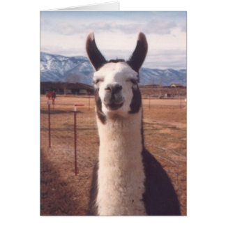 "Llama souriante"