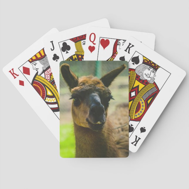 Llama Spielkarten (Rückseite)