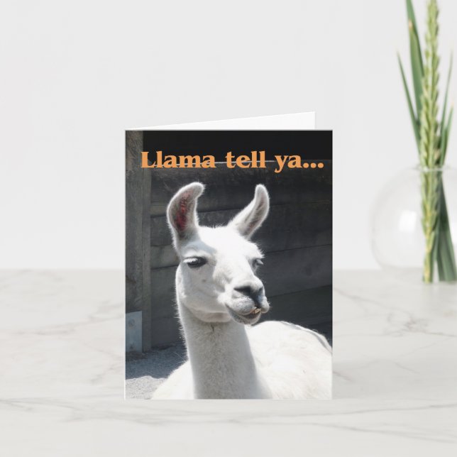 "Llama Tell Ya" Carte de note blanche Llama souria (Devant)