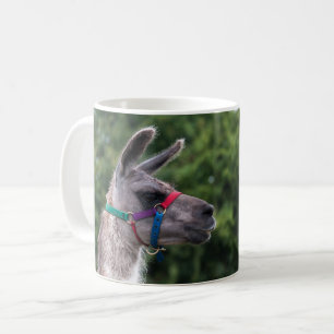 Llama-Überlegenheit Kaffeetasse