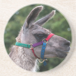 Llama-Überlegenheit Untersetzer