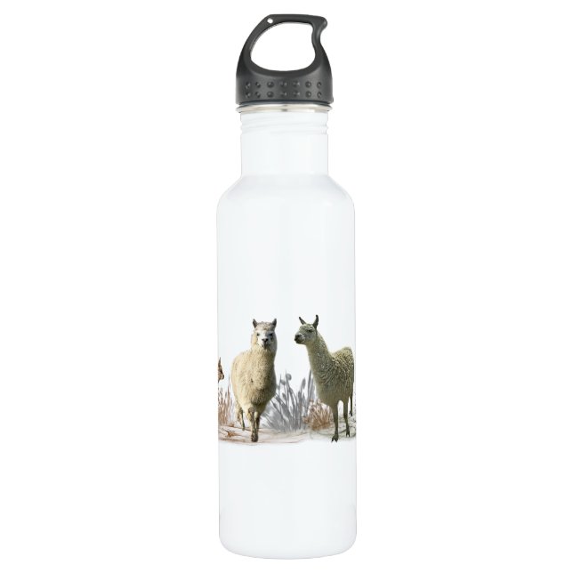 Llama-Wiesenwasserflasche Edelstahlflasche (Vorderseite)