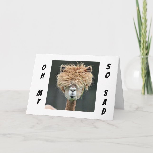 **LLAMA WILL IHNEN, "SCHON GUT ZU KOMMEN!" KARTE (Vorderseite)