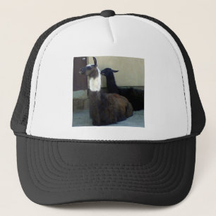 Llamas als Zoobild Truckerkappe
