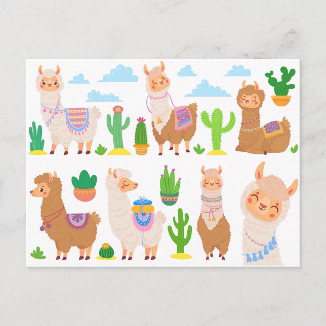 Llamas Postkarte (Vorderseite)