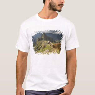 Llamas und ein Ausblick auf Machu Picchu, T-Shirt