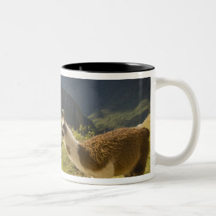 Llamas und ein Ausblick auf Machu Picchu, Zweifarbige Tasse