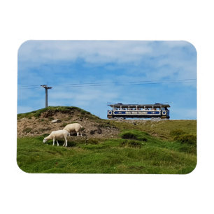 Llandudno Magnet