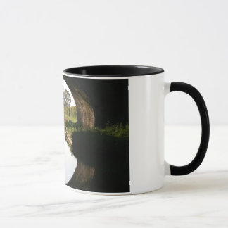 Llangollen Kanal-Boot durch Brücken-Tasse Tasse