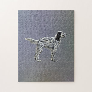 LLewellin Setter
