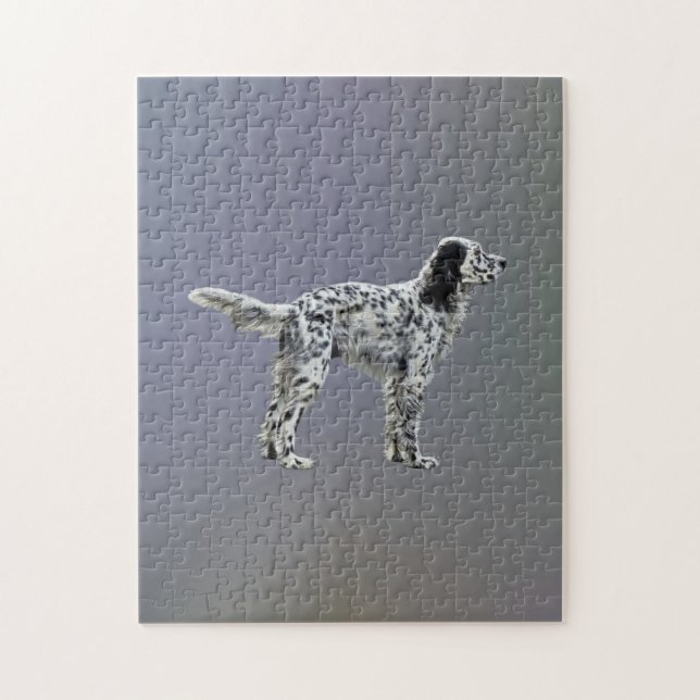 LLewellin Setter (Vertikal)