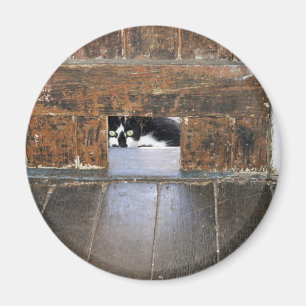 Lobo - aimant rond de pouce de 2 ¼