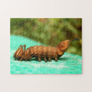 Lobster Moth Caterpillar Photo Puzzle et boîte cad