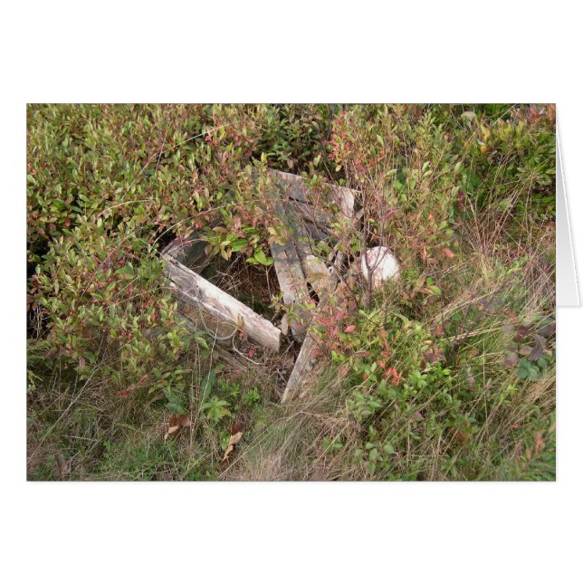 Lobsterman's box and bobber, Maine, USA (Vorderseite (Horizontal))