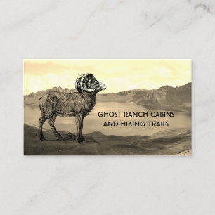 Location cabine ou Bed and Breakfast Carte de visi