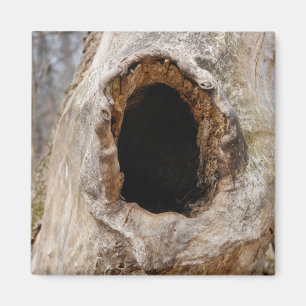 Loch in einem Baumstamm-Magnet Magnet