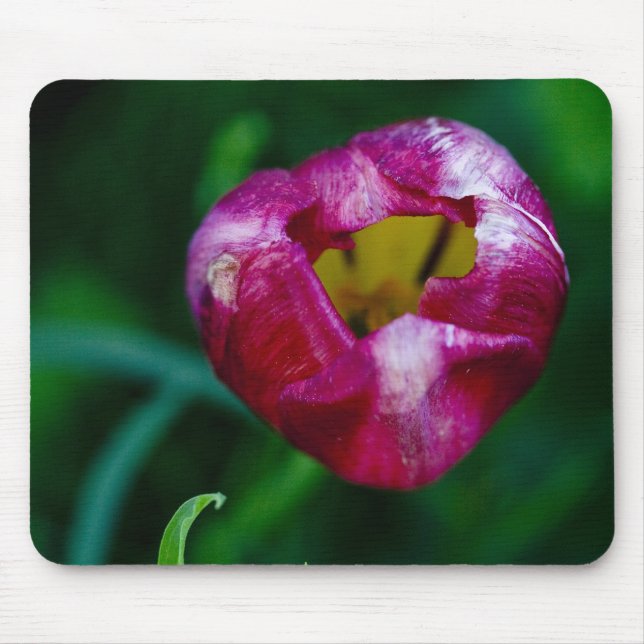 Loch in meinem Herzen Mousepad (Vorne)