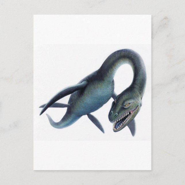 Loch Ness Monster Postkarte (Vorderseite)