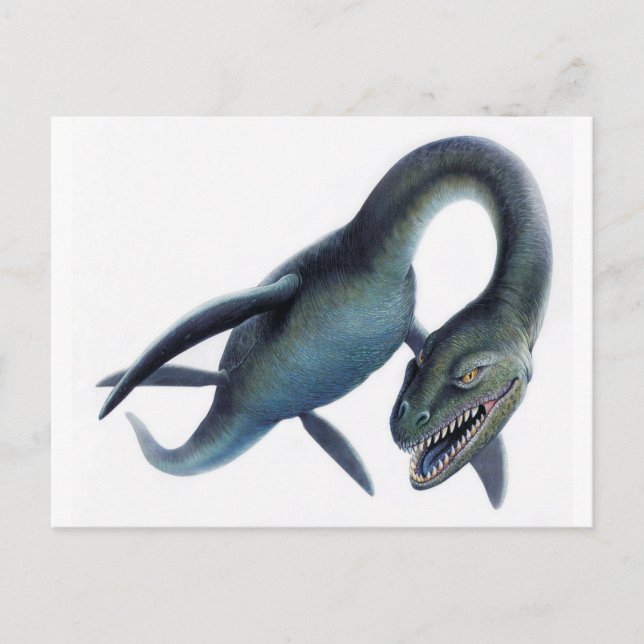 Loch Ness Monster Postkarte (Vorderseite)