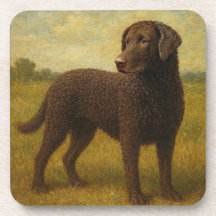 Lockenhaar-Retriever