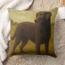 Lockenhaar-Retriever