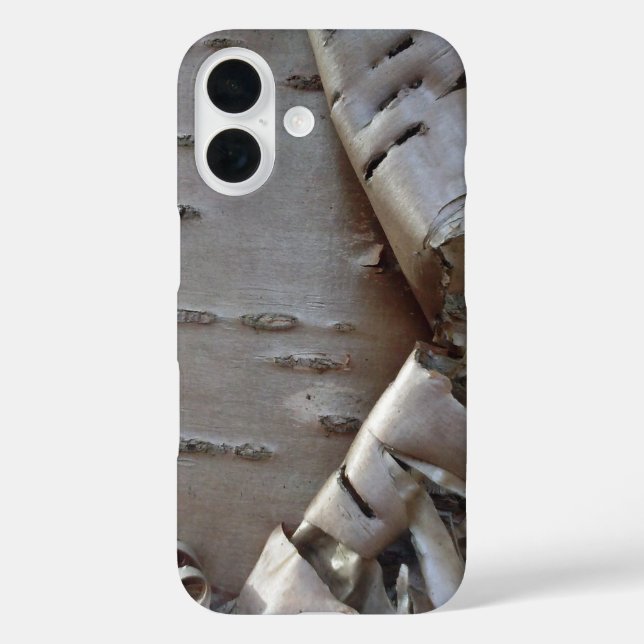Lockige Birkenrinde Rustikal iPhone 16 Hülle (Rückseite)