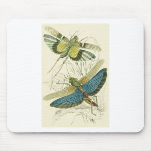 Locusta Cristata (niedriger), Locusta flava (ober) Mousepad