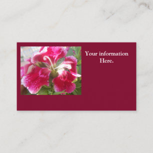 Lodovica Visitenkarte