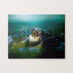 L'oeil crocodile, le puzzle