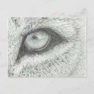 L'oeil du lion | Carte postale personnalisable