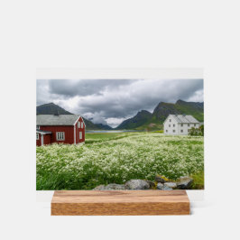 Lofoten