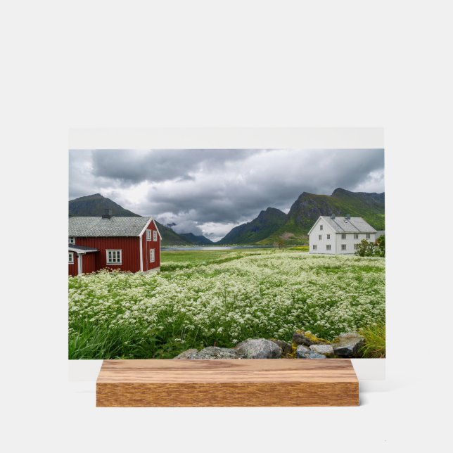 Lofoten (Recto)