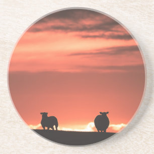 Lofoten Islands Sunset Sheep Nature Foto Getränkeuntersetzer