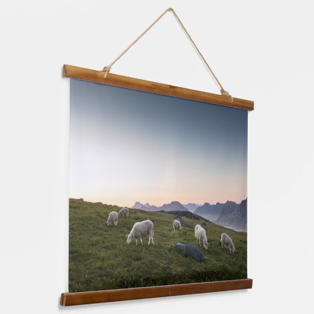 Lofoten Sheep Wandteppich Mit Holzrahmen (Gewinkelt)