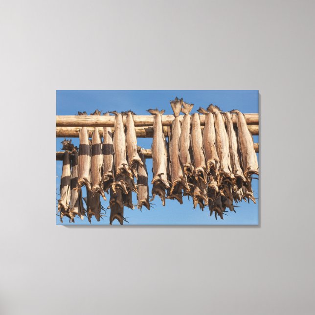 Lofoten Stockfish Leinwanddruck (Vorderseite)