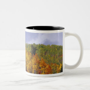 Logan Canyon in Utah im Herbst bei Vorbeifahrt Zweifarbige Tasse