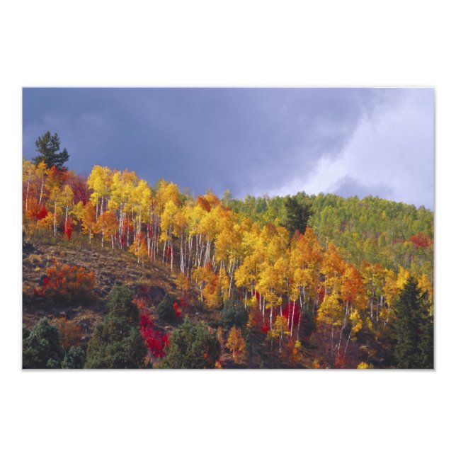Logan Canyon in Utah im Herbst mit Vorbei Fotodruck (Vorne)