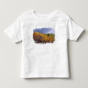 Logan Canyon in Utah im Herbst mit Vorbeiflug Kleinkind T-shirt