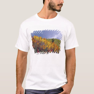 Logan Canyon in Utah im Herbst mit Vorbeiflug T-Shirt