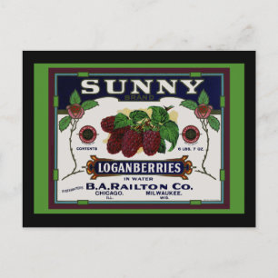 Loganberry Postkarte