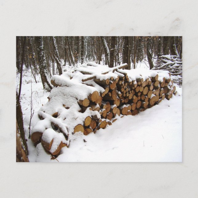 Logarithmenstapel in der Holzpostkarte Postkarte (Vorderseite)